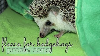 Fleece for Hedgehogs: Pros & Cons