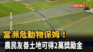 當瀕危動物保姆！ 農民友善土地可得2萬元－民視新聞