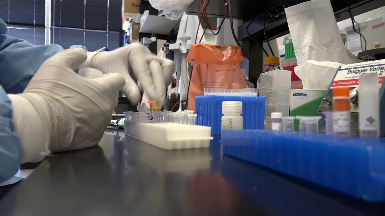 NIAID B-roll: Zika Virus Research - YouTube