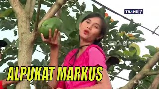 ALPUKAT MARKUS, BUAH ANDALAN KHAS DESA PUNCU | JEJAK PETUALANG (21/02/23)* Part 2