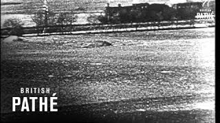 Us Air Force Attack (1944)