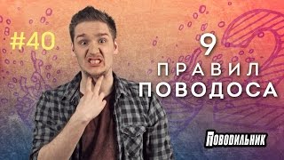 Поводильник: как смотреть наше шоу (выпуск 40)