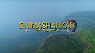 Bhimashankar Wildlife Sanctuary Teaser | Pune Wildlife Division | AVF Production