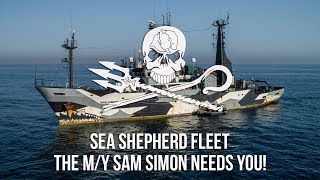 Sea Shepherd Fleet: The M/Y Sam Simon Needs You!