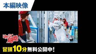 【無料冒頭10分映像】『はたらく細胞』好評デジタル配信中