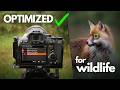 My Top 5 Sony Custom Functions - Bird & Wildlife Photography