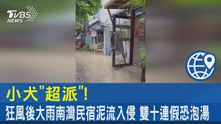 小犬「超派」! 狂風後大雨南灣民宿泥流入侵 雙十連假恐泡湯｜TVBS新聞 @internationalNewsplus