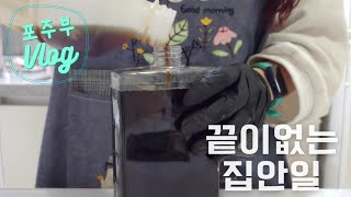 포주부 브이로그 #10 | 끝이없는 집안일😖(카야프렌치토스트,체리알러지,파다듬기,파냉동보관법,아이폰액정필름교체,전자디퓨저 향교체,통모짜치즈돈까스,블루베리잼 만들기,셀프젤네일아트)