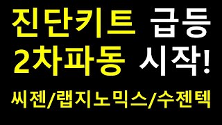 [주식] 진단키트 급등 2차파동 시작! 씨젠 랩지노믹스 수젠텍!