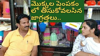 మెక్కల పెంపకం కోసం సలహాలు మరియు సూచనలు#Tips and Suggestions for proper growth of plants