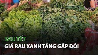 Sau Tết giá Rau Xanh tăng gấp đôi| VTC14