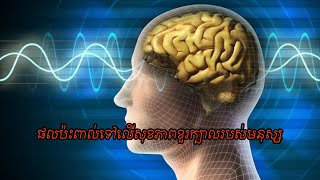 មូលហេតុបង្កផលប៉ះពាល់ដល់សុខភាពខួរក្បាលរបស់មនុស្ស