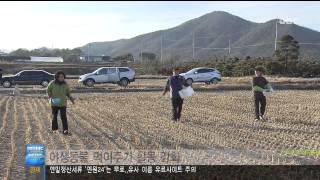 [ubc울산방송] 프라임뉴스 2013_1_7