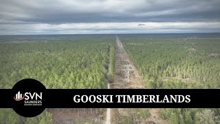 SOLD: Gooski Timberlands |  7,114 ± Acres | Timber | For Sale in Marion County, Florida