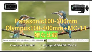 Panasonic100-300とOlympus100-400+MC14画質超雑比較