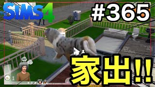 【シムズ4実況】ダイエットしたら犬家出したんだけどw【sims4】第365話