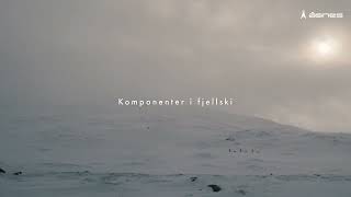 Komponenter i Åsnes Fjellski