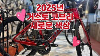 2025년 신상 거스토 자전거 [황병준TV]