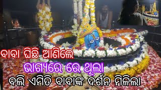 ସବୁ ବାବାଙ୍କ ମାୟା କେବେ କିଛି ପୂଣ୍ୟ କରି ଥିଲି ||pinky all type vlogs||village lifestyle||sambalpuri vlog