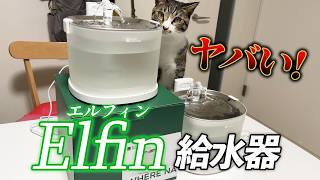 【保護猫】驚異のクラファン5000万円突破は伊達じゃない！？