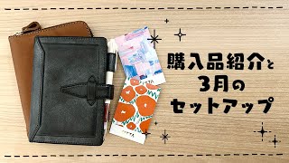 【ゆる作業】購入品紹介と3月のセットアップ