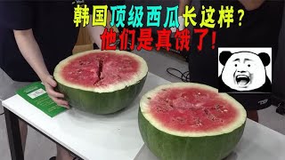 中国人实现吃瓜自由后，被韩国嘲笑浪费奢侈！竟不吃西瓜皮!