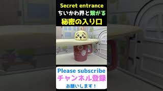 【ちいかわ達の秘密】 コップの中は知らない世界でした。 #shorts #ちいかわ #funny