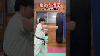 【武道・武術】突きには横拳と縦拳がある　解説！！　#aikido ＃karate #martial #武道 ＃#空手＃合気道＃筋トレ#selfdefens