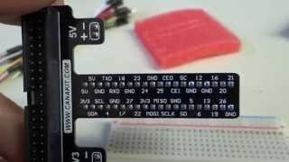 Connecting the breadboard to the Rpi