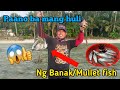 MULLET [ BANAK ] #fishingvideo #gayahin #everyone #effective #thankful #subscribe