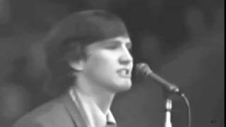 Wayne Fontana And The Mindbenders -  Just A Little Bit Too Late (1965 NME Concert, Wembley)