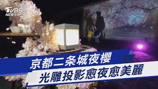 京都二条城夜櫻 光雕投影愈夜愈美麗｜TVBS新聞 @TVBSNEWS01