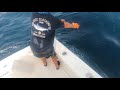 cape verde blue marlin 2018 ep. 1 the season begins