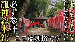 ※最高龍神の総本社！この神社を参拝せずして龍とのご縁は強くなりません！【奈良県天理市大和神社】