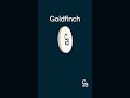 trade $gfi on caleb u0026 brown – goldfinch a decentralized credit protocol