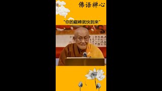 “你的巅峰就快到来”#禅语智慧#悟人生之道