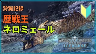 【狩猟記録】 歴戦王 ネロミェール（溟鳴り遥か遠く） | Monster Hunter World: Ice Borne