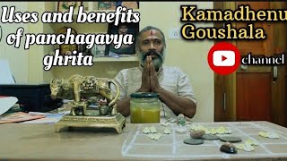 Panchagavya ghrita| Uses and benefits| ಪಂಚಗವ್ಯ ಘೃತ ಉಪಯೋಗ ಹಾಗು ಪ್ರಯೋಜನ|