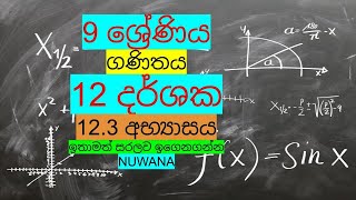 grade 9 maths/12.3 අභ්‍යාසය /12 දර්ශක