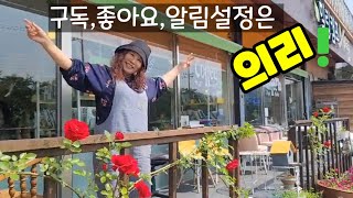 #시골카페 #할매유튜버 의 닭살 행각 카메라 피하는 방법