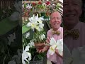 The Magic of White Cattleyas