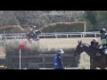 cci*2 l miki 2019 ev100　耐久審査　ドリームチェイサー　深谷光明