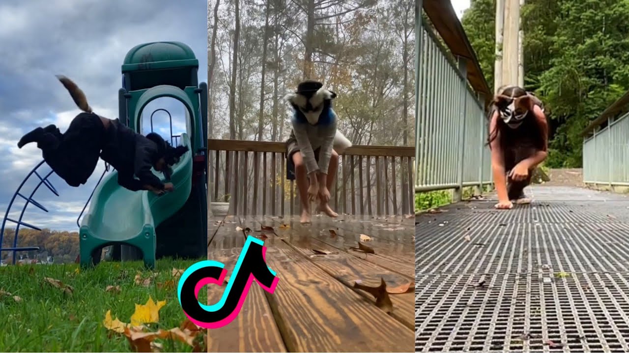 Therian Tiktok Compilation 31 Youtube