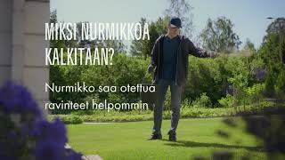 Miksi nurmikkoa kalkitaan?