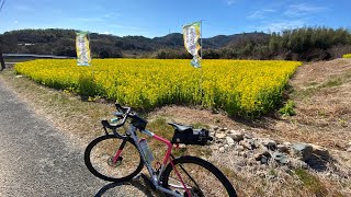 奥三河・湖西市・渥美半島蔵王山ライド🚵‍♀️