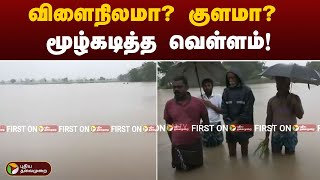 #Justin | விளைநிலமா? குளமா? - மூழ்கடித்த வெள்ளம் | Heavy Rain | Thiruvarur | #RainUpdatewithPT