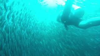 ガラパゴス諸島のダイビングの名所、キッカーロックでの奇跡！小魚の大群に遭遇♪ Kicker Rock, San Cristbal, Galápagos  旅ダイニング・ルートゼロ船長の世界一周旅日記