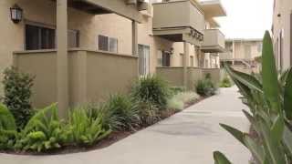 16405 Cornuta Apartments for rent Bellflower, CA
