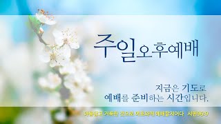 2025년 1월 5일 요한복음 1장 14-18절 \