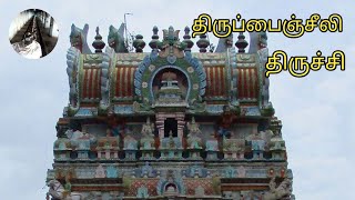 திருப்பைஞ்ஞீலி |   ஞீலிவனேஸ்வரர் திருக்கோயில் | திருச்சி | தமிழ்நாடு